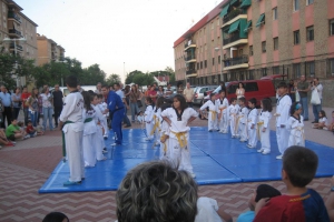 Taekwondo1